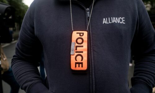 🇫🇷 Contrôles des pass sanitaires : « La police et la gendarmerie ont autre chose à faire », estime le délégué général du syndicat Alliance